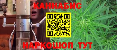 прущие грибы Кингисепп
