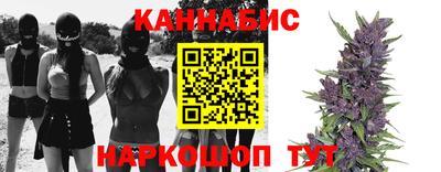 трава Кимры