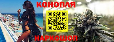 прущие грибы Кингисепп