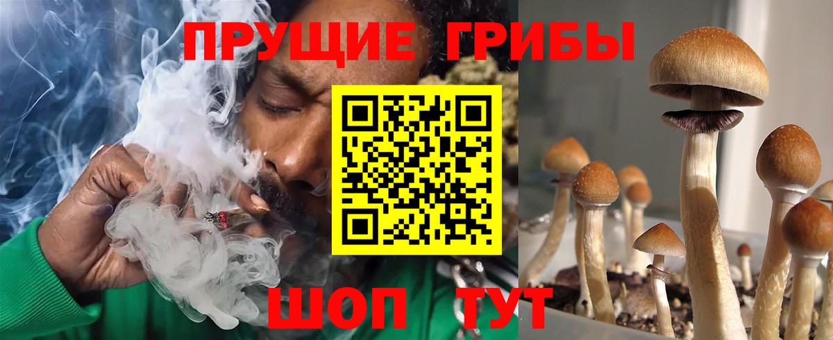 Галлюциногенные грибы ЛСД Красногорск